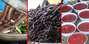 7 Makanan Aneh Di Dunia