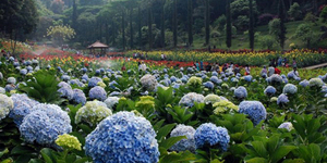 Taman Bunga Selecta - 7 Tempat Romantis di Kota Malang