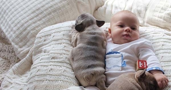 FOTO: Imut dan Lucu, Pose Bayi Tidur Bersama Anjing ...